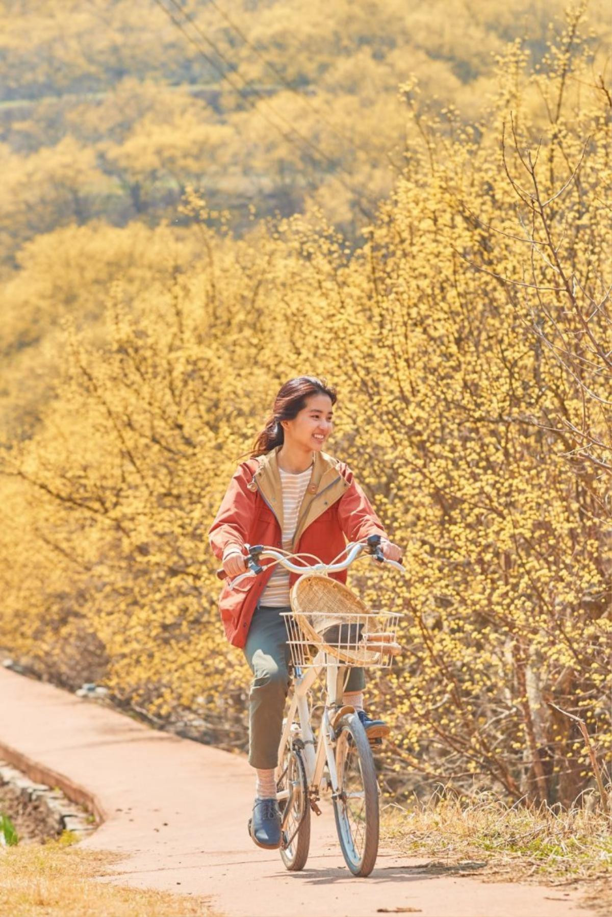 ‘Little Forest’: Thanh xuân 4 mùa và tình bạn yên bình của Kim Tae Ri và 'mặt cún' Ryoo Joon Yeol Ảnh 11