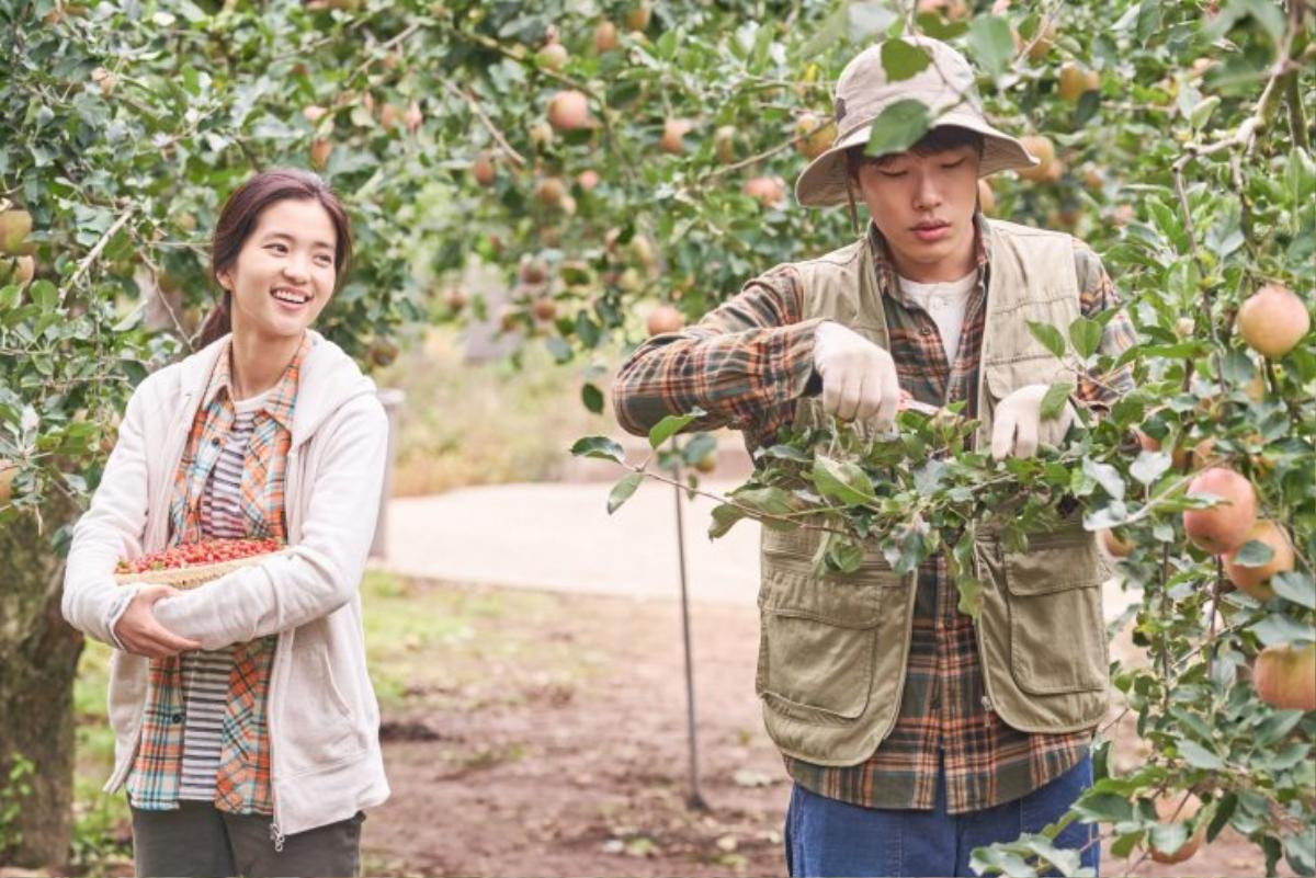 ‘Little Forest’: Thanh xuân 4 mùa và tình bạn yên bình của Kim Tae Ri và 'mặt cún' Ryoo Joon Yeol Ảnh 24