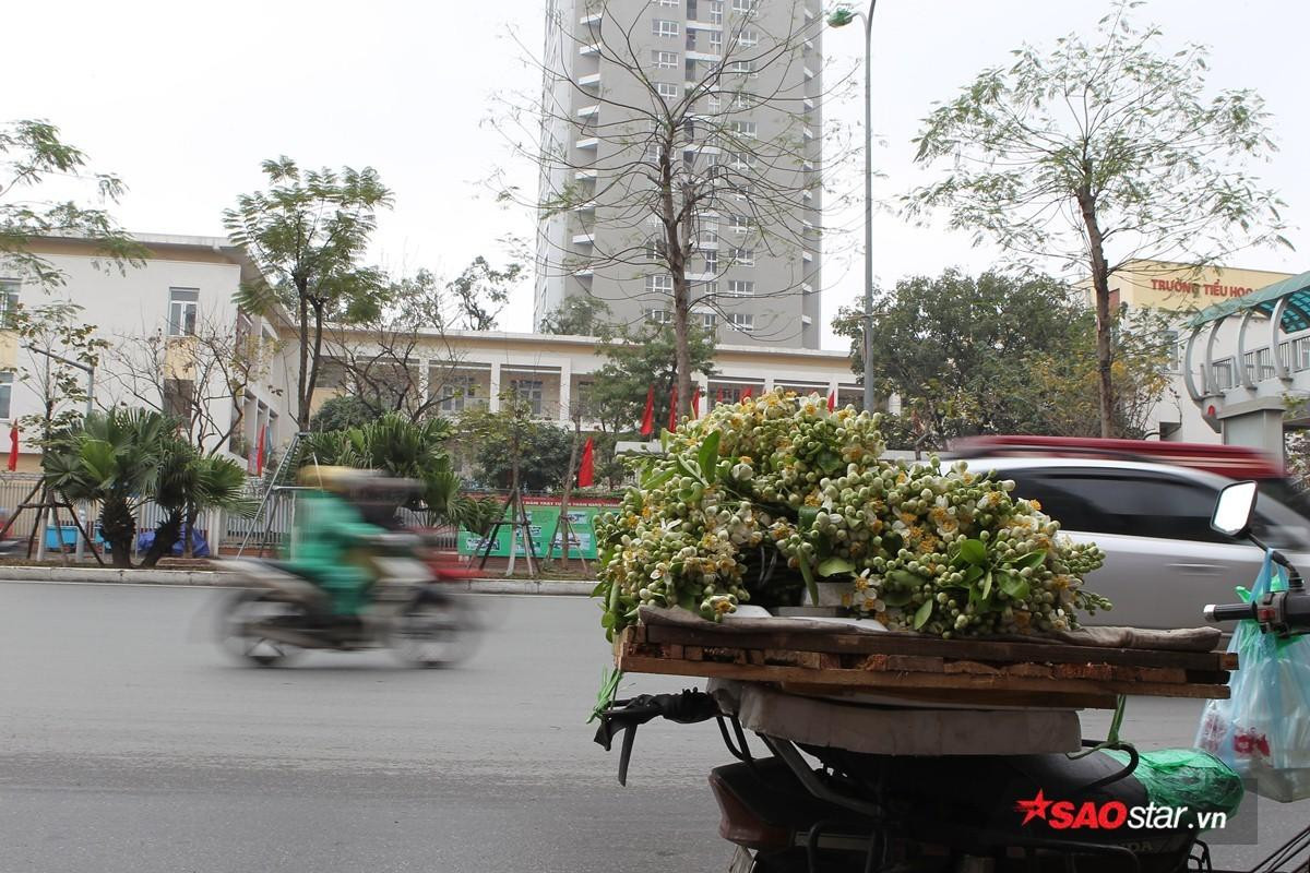 Giữa những ngày mưa phùn tí tã, có một niềm vui mang tên mùa hoa bưởi 'thơm từng cơn gió' Ảnh 14