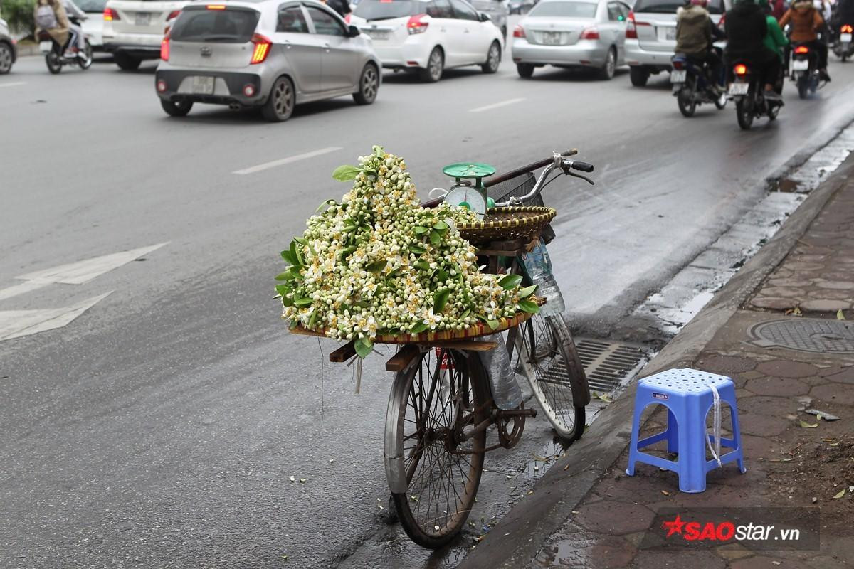 Giữa những ngày mưa phùn tí tã, có một niềm vui mang tên mùa hoa bưởi 'thơm từng cơn gió' Ảnh 6