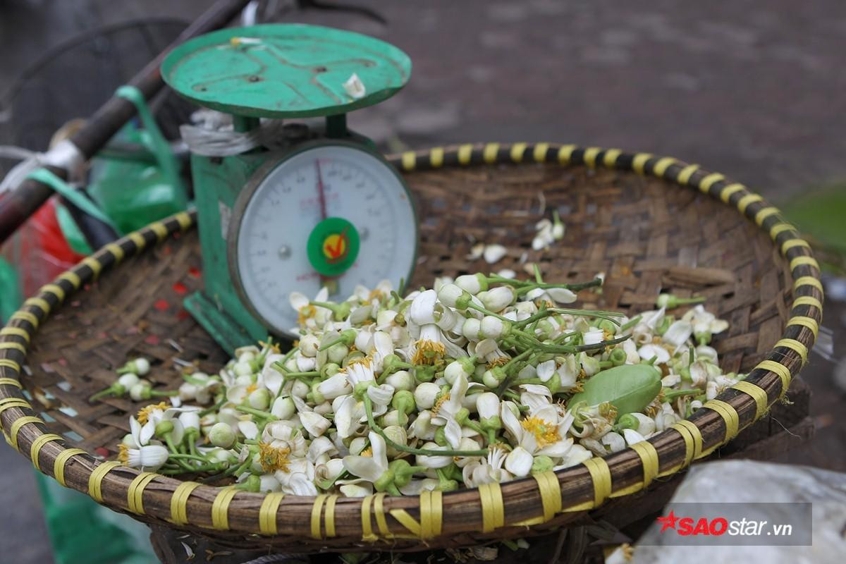 Giữa những ngày mưa phùn tí tã, có một niềm vui mang tên mùa hoa bưởi 'thơm từng cơn gió' Ảnh 11