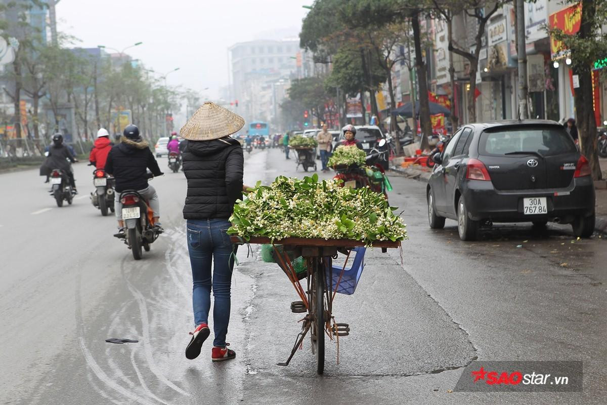 Giữa những ngày mưa phùn tí tã, có một niềm vui mang tên mùa hoa bưởi 'thơm từng cơn gió' Ảnh 16