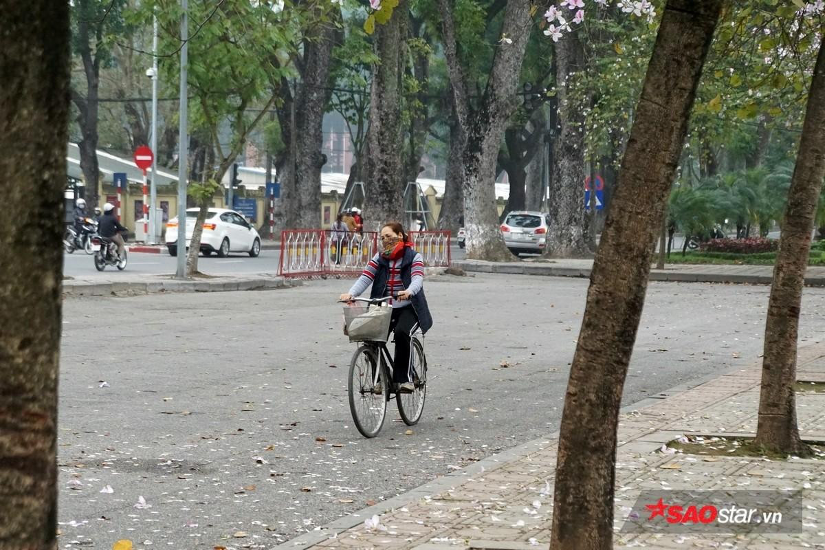 Ngẩn ngơ ngắm hoa ban Tây Bắc nhuộm tím phố phường ngày xuân sang Ảnh 13