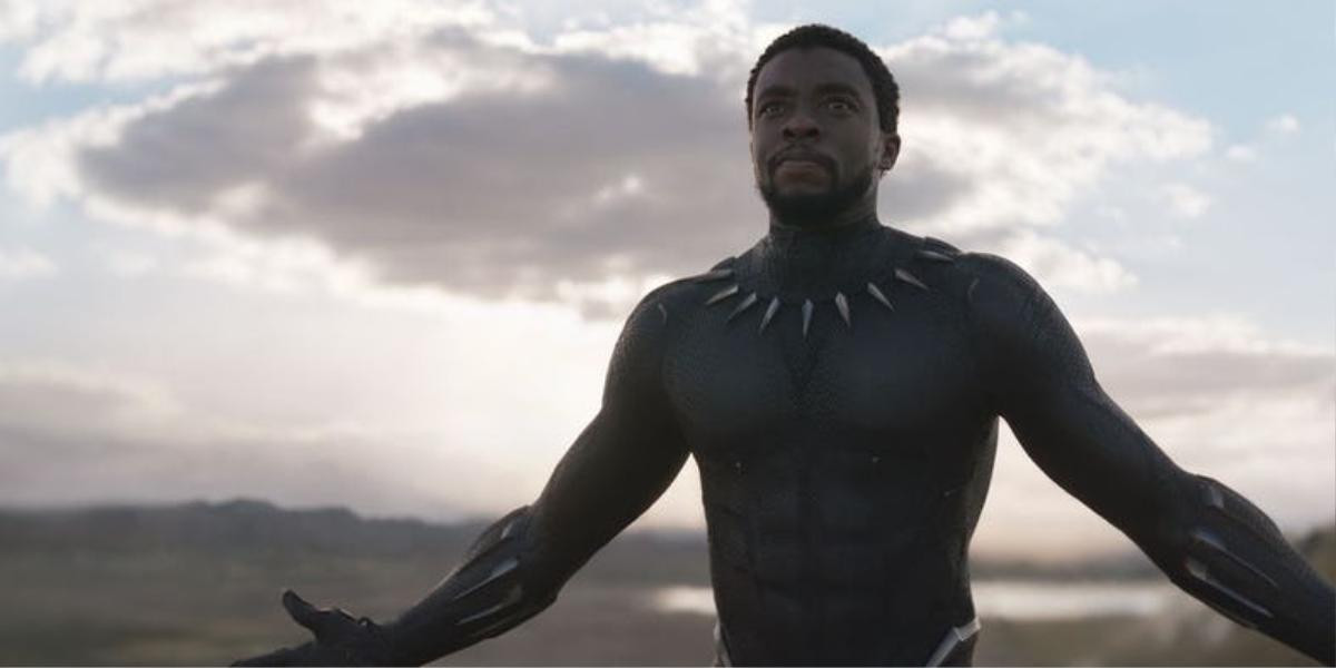 15 điều có thể bạn đã hiểu sai về 'Black Panther' Ảnh 8