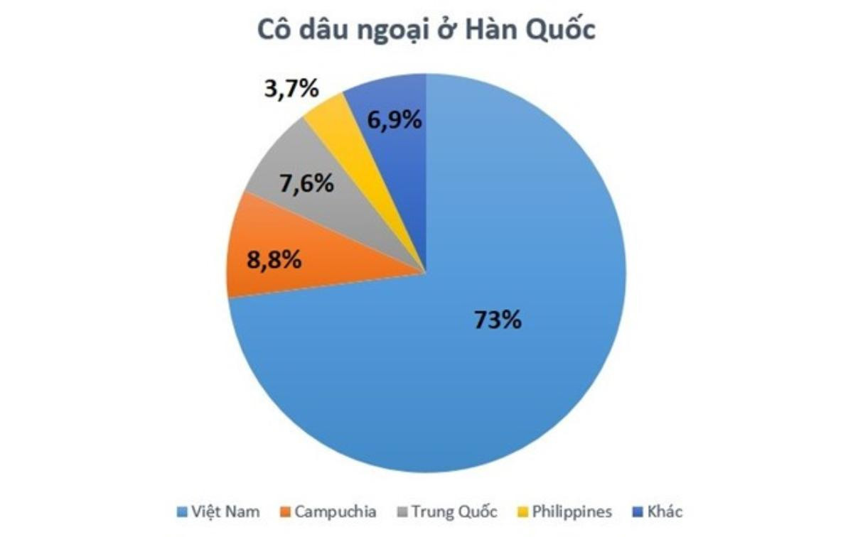 Hơn 70% dâu ngoại ở Hàn Quốc là người Việt Nam Ảnh 2