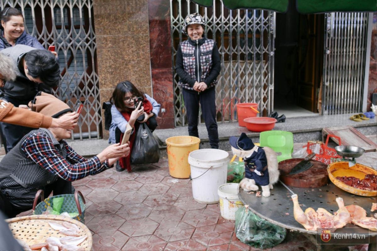 Về Hải Phòng 'diện kiến' chú mèo tên Chó và cậu chủ siêu cute đang nổi danh khắp MXH tây ta Ảnh 13