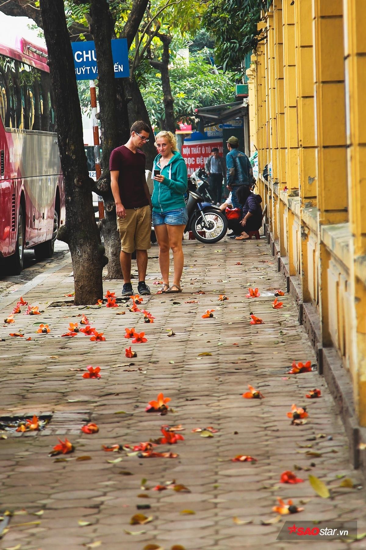 Tháng 3 về, miên man ngắm hoa gạo nở đỏ rực như ngàn ngọn nến thắp sáng một góc trời Ảnh 2