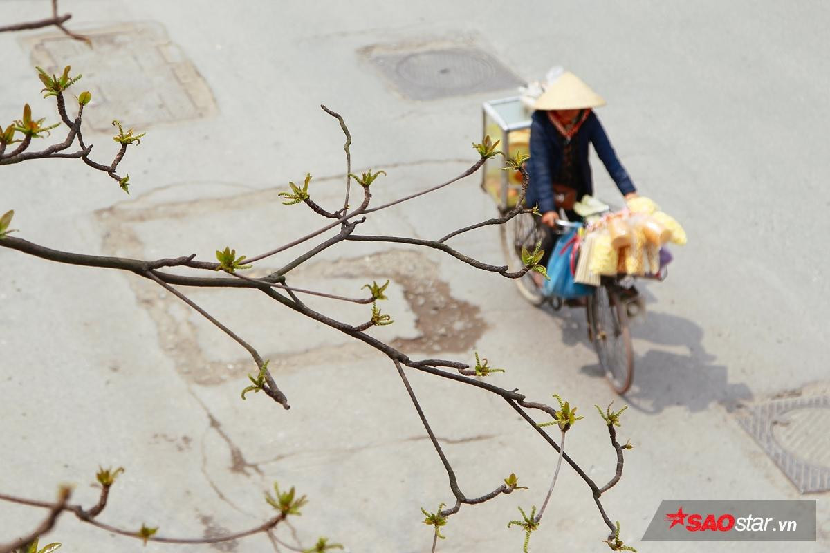 Cuối xuân rủ nhau đi ngắm những khoảng trời đầy lộc biếc đẹp như tranh, lòng nao nao tiếc nuối tuổi xanh qua vội vàng Ảnh 1