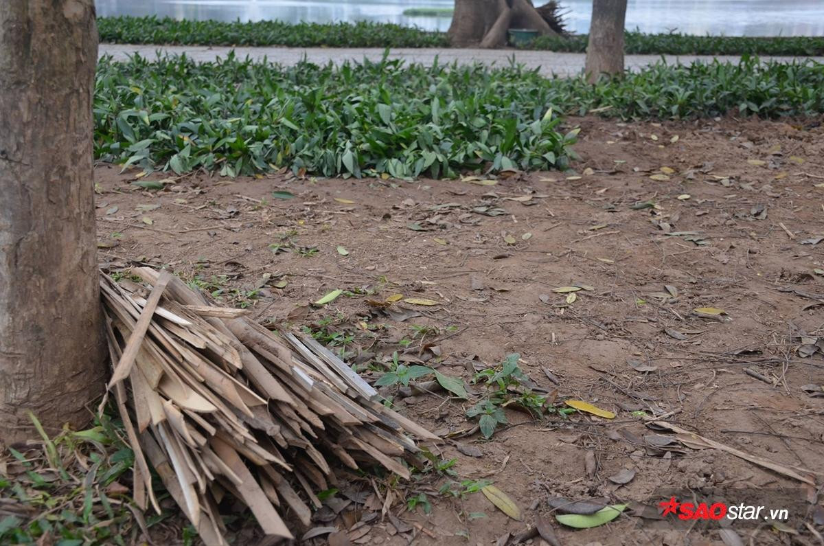 Bảo vệ hoa quanh hồ Giảng Võ, Hà Nội cắm chông tre nhọn hoắt như mũi tên khiến người dân phản ứng Ảnh 8