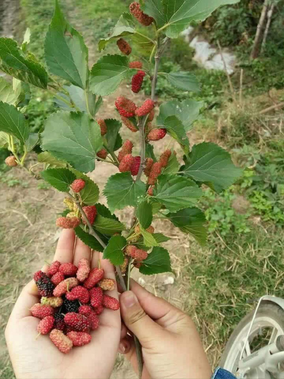 Trà sữa không là gì với những món ăn vặt dân dã ngon - bổ - rẻ ở thời kỳ huy hoàng của thế hệ 8X, 9X Ảnh 5