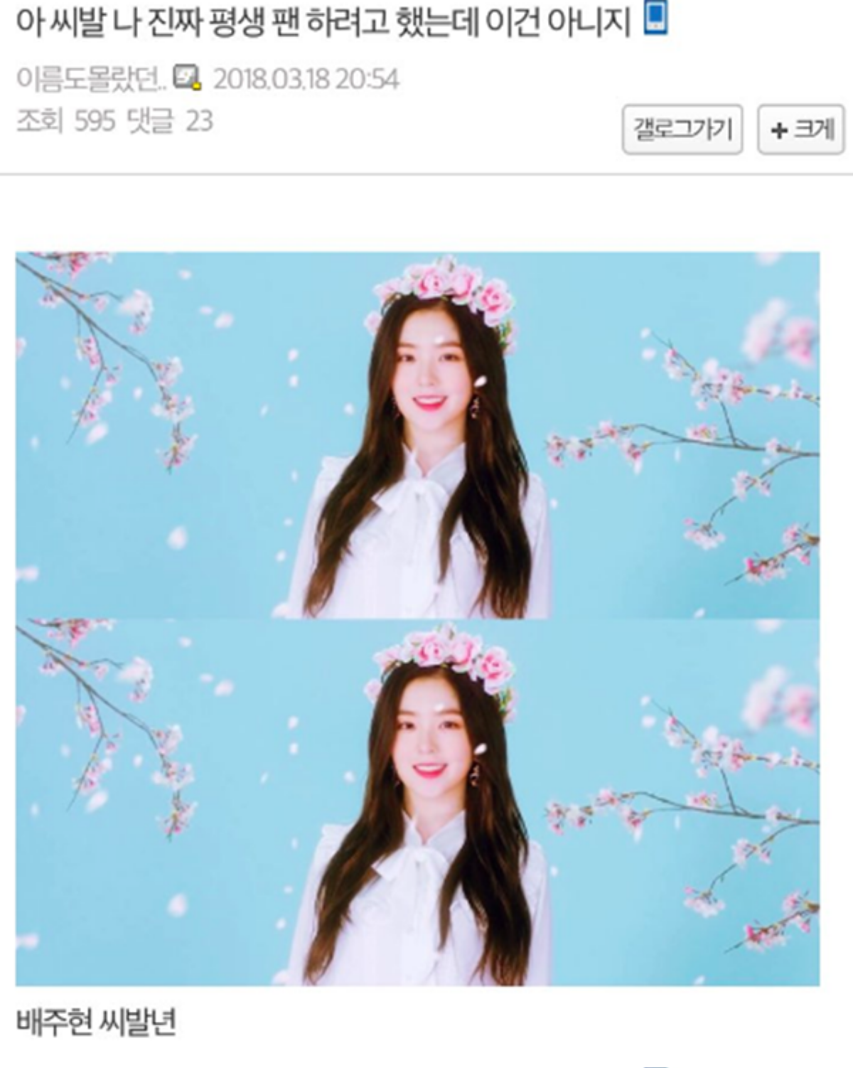 Fan nam đốt hình Irene (Red Velvet) và đòi rời khỏi fandom chỉ vì lý do này Ảnh 1