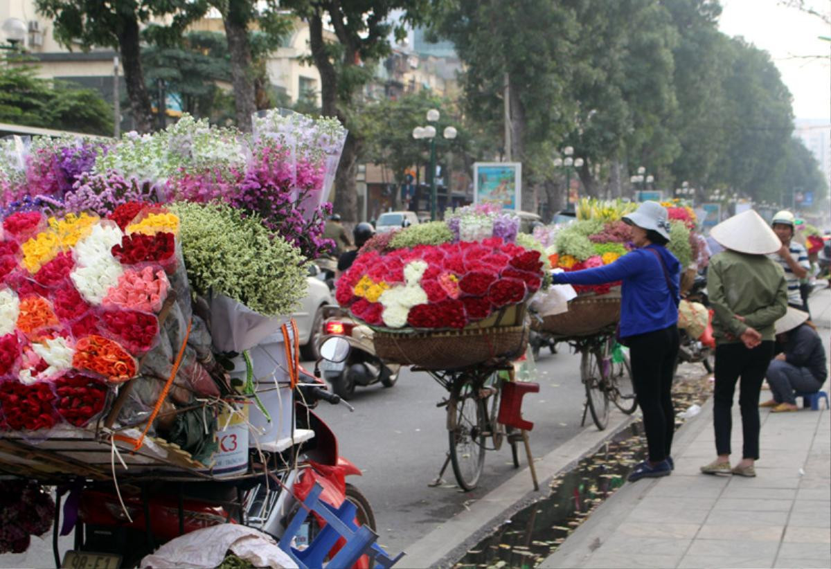 Đại gia đình bỏ quê lên phố, mỗi ngày đạp xe 50 km kiếm sống Ảnh 1