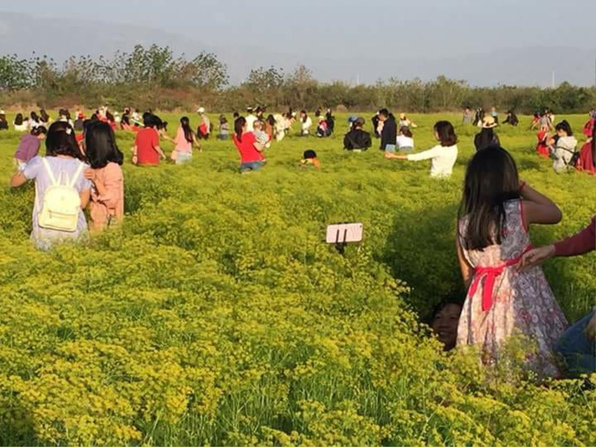 Bị đổ lỗi phá hoại cảnh quan, phượt thủ lên tiếng: 'Nói thế oan lắm, chúng tôi chỉ bảo vệ' Ảnh 2