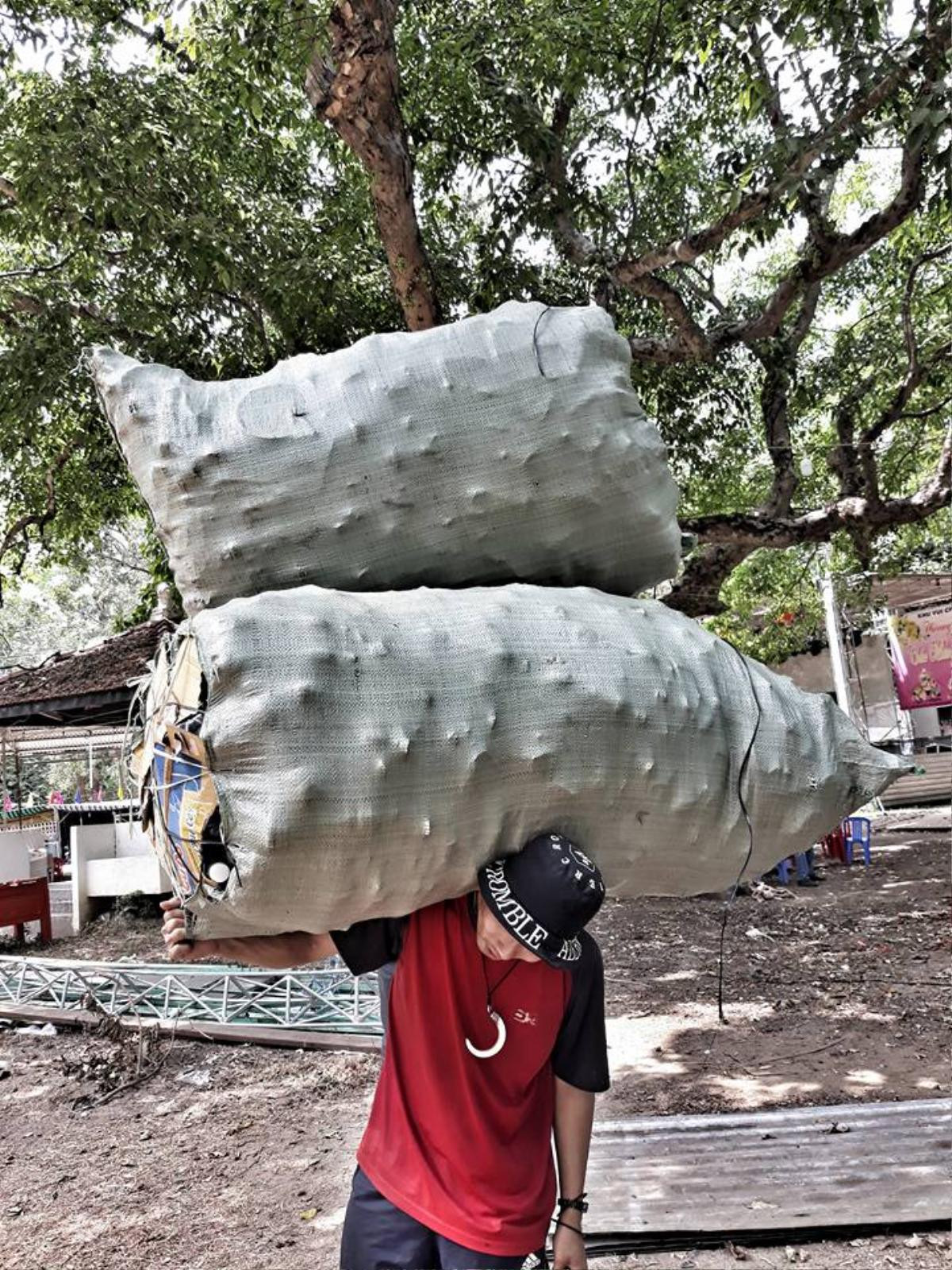 Bị đổ lỗi phá hoại cảnh quan, phượt thủ lên tiếng: 'Nói thế oan lắm, chúng tôi chỉ bảo vệ' Ảnh 8