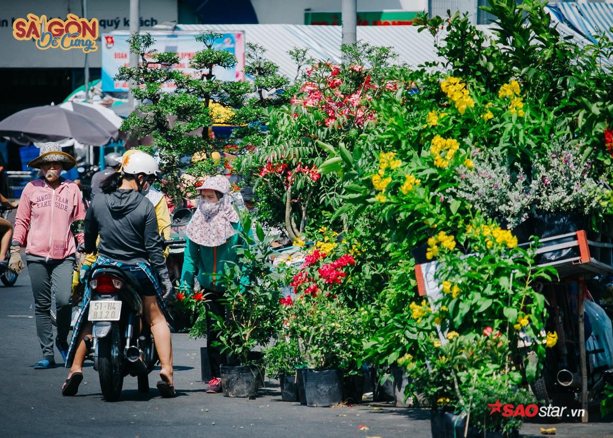 Ở Sài Gòn có những con xe chở 'chợ xanh' sau lưng, hàng chục năm vẫn rong ruổi khắp phố phường Ảnh 7