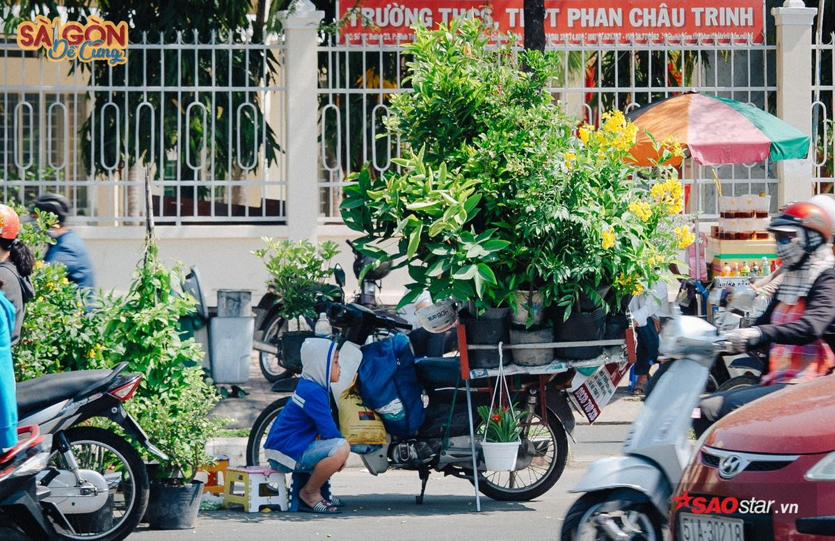 Ở Sài Gòn có những con xe chở 'chợ xanh' sau lưng, hàng chục năm vẫn rong ruổi khắp phố phường Ảnh 8