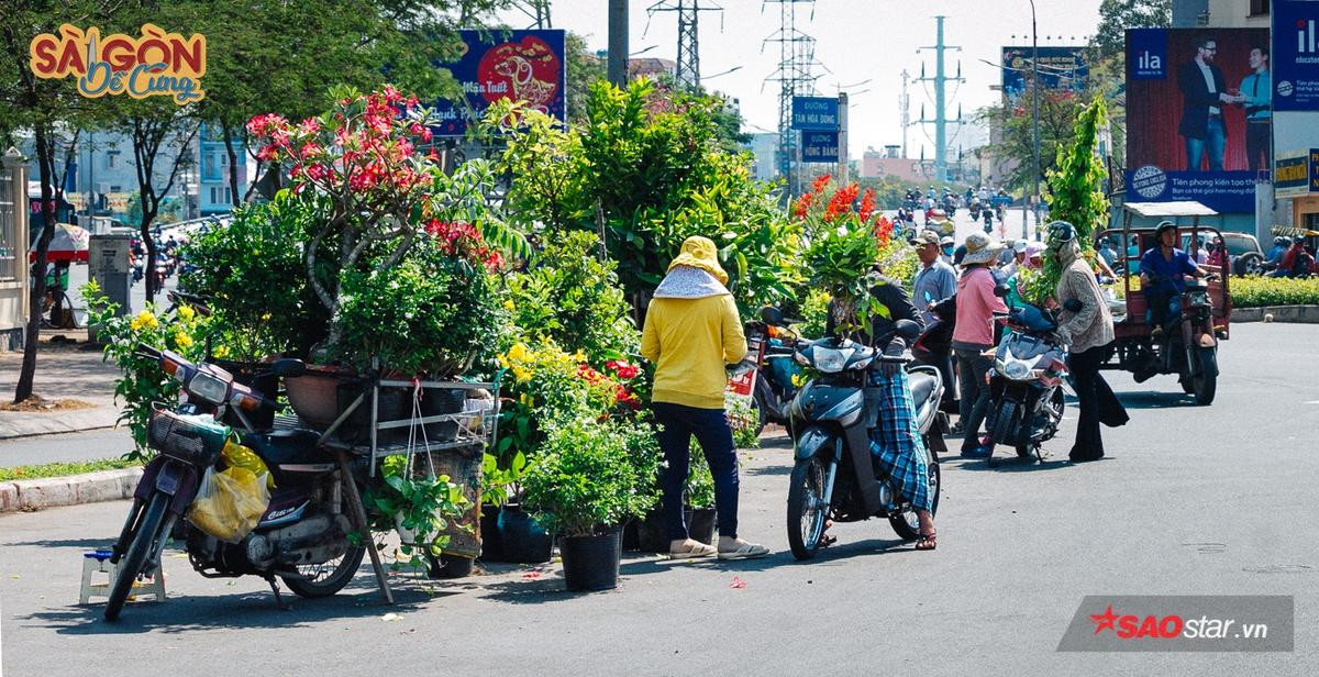 Ở Sài Gòn có những con xe chở 'chợ xanh' sau lưng, hàng chục năm vẫn rong ruổi khắp phố phường Ảnh 5