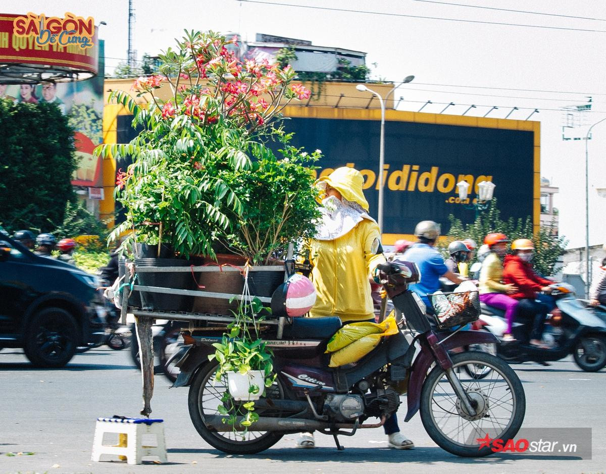 Ở Sài Gòn có những con xe chở 'chợ xanh' sau lưng, hàng chục năm vẫn rong ruổi khắp phố phường Ảnh 1