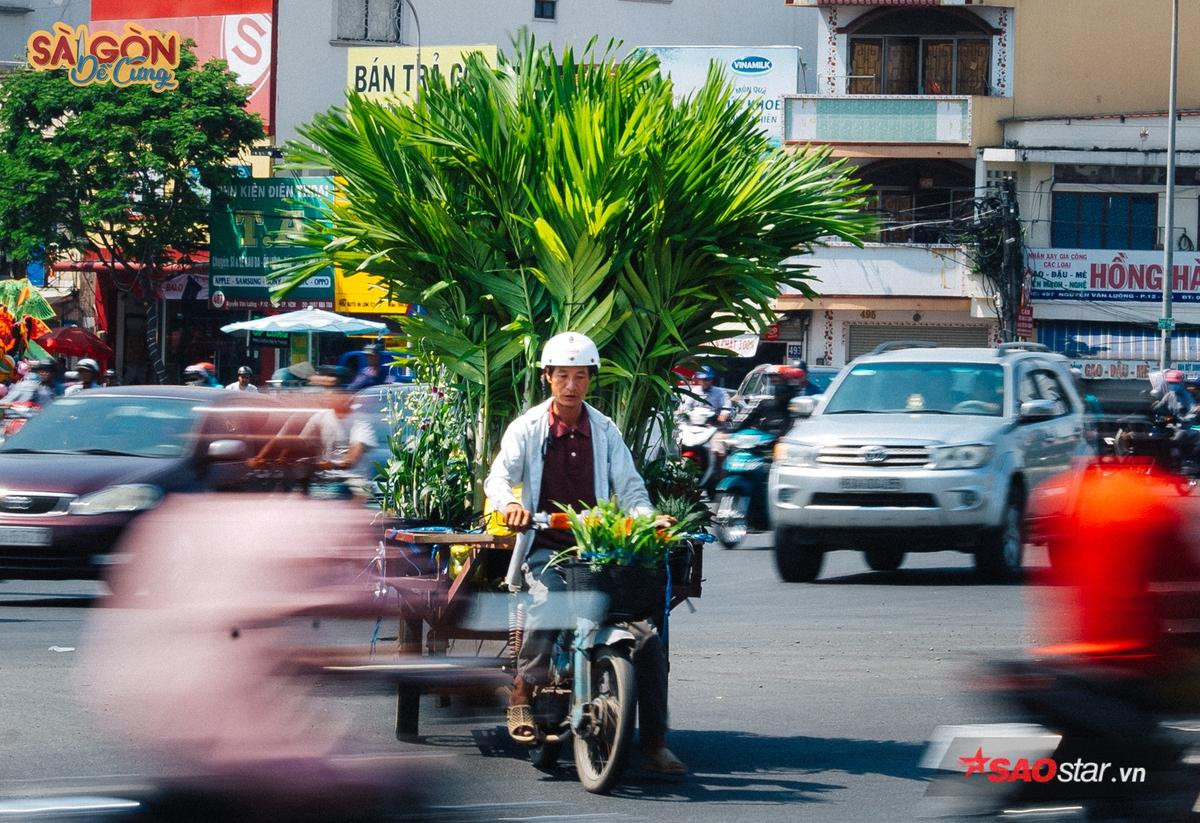 Ở Sài Gòn có những con xe chở 'chợ xanh' sau lưng, hàng chục năm vẫn rong ruổi khắp phố phường Ảnh 4