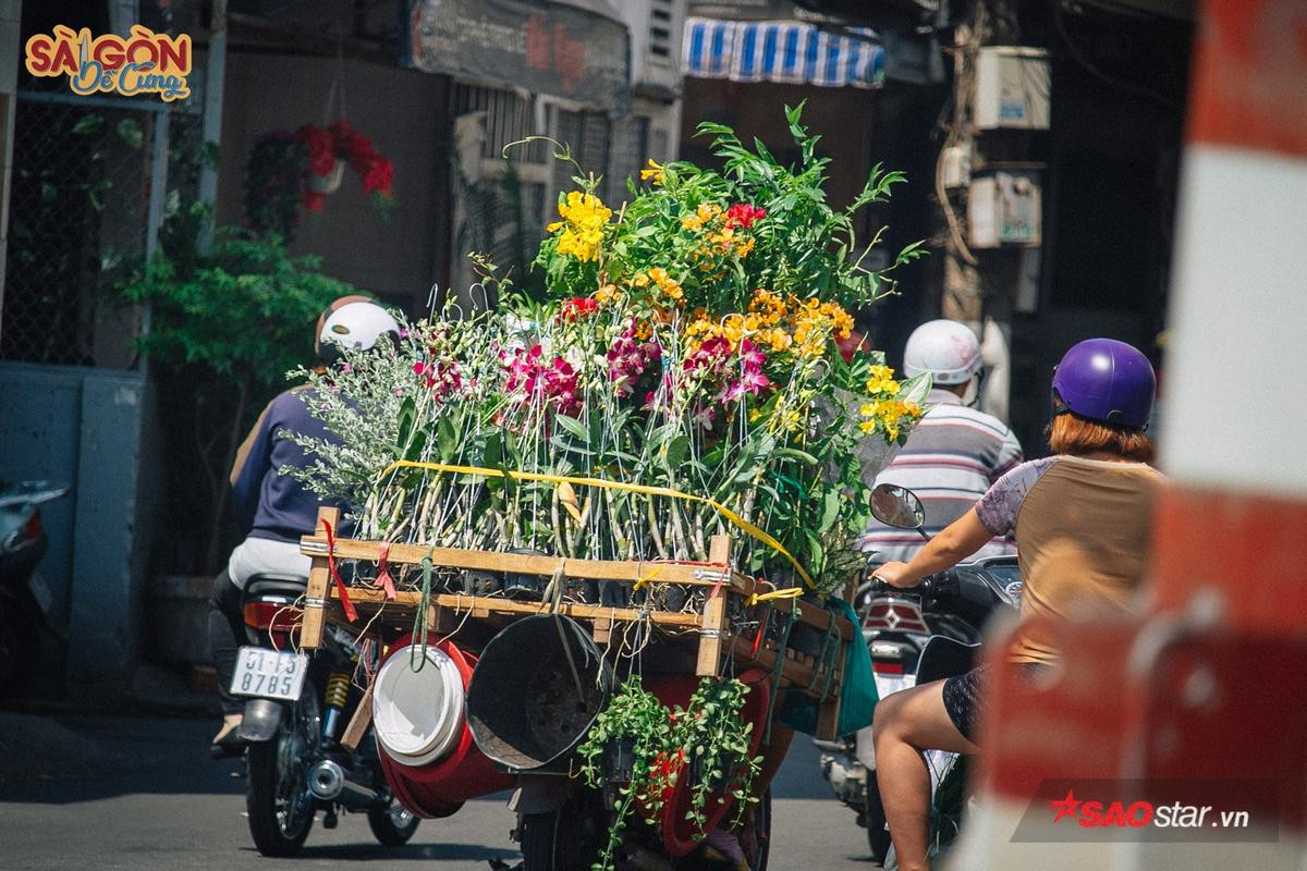 Ở Sài Gòn có những con xe chở 'chợ xanh' sau lưng, hàng chục năm vẫn rong ruổi khắp phố phường Ảnh 10