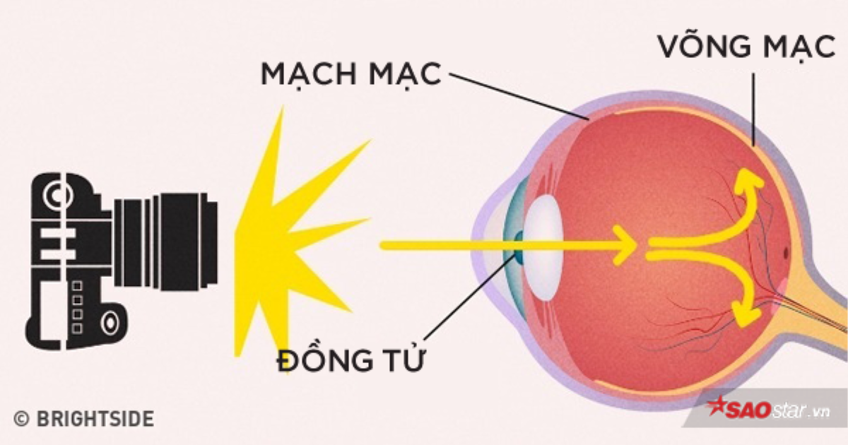 Vì sao chụp ảnh ban đêm lại hay bị hiện tượng 'mắt đỏ'? Ảnh 2