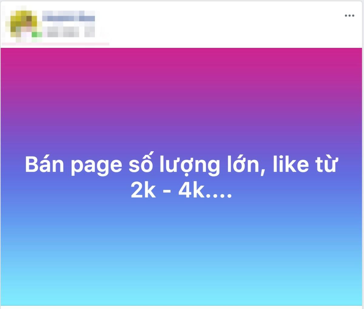 Facebook cho tạo page riêng từ trang cá nhân, dân mạng khó chịu vì bị 'ép' like vô tội vạ Ảnh 3