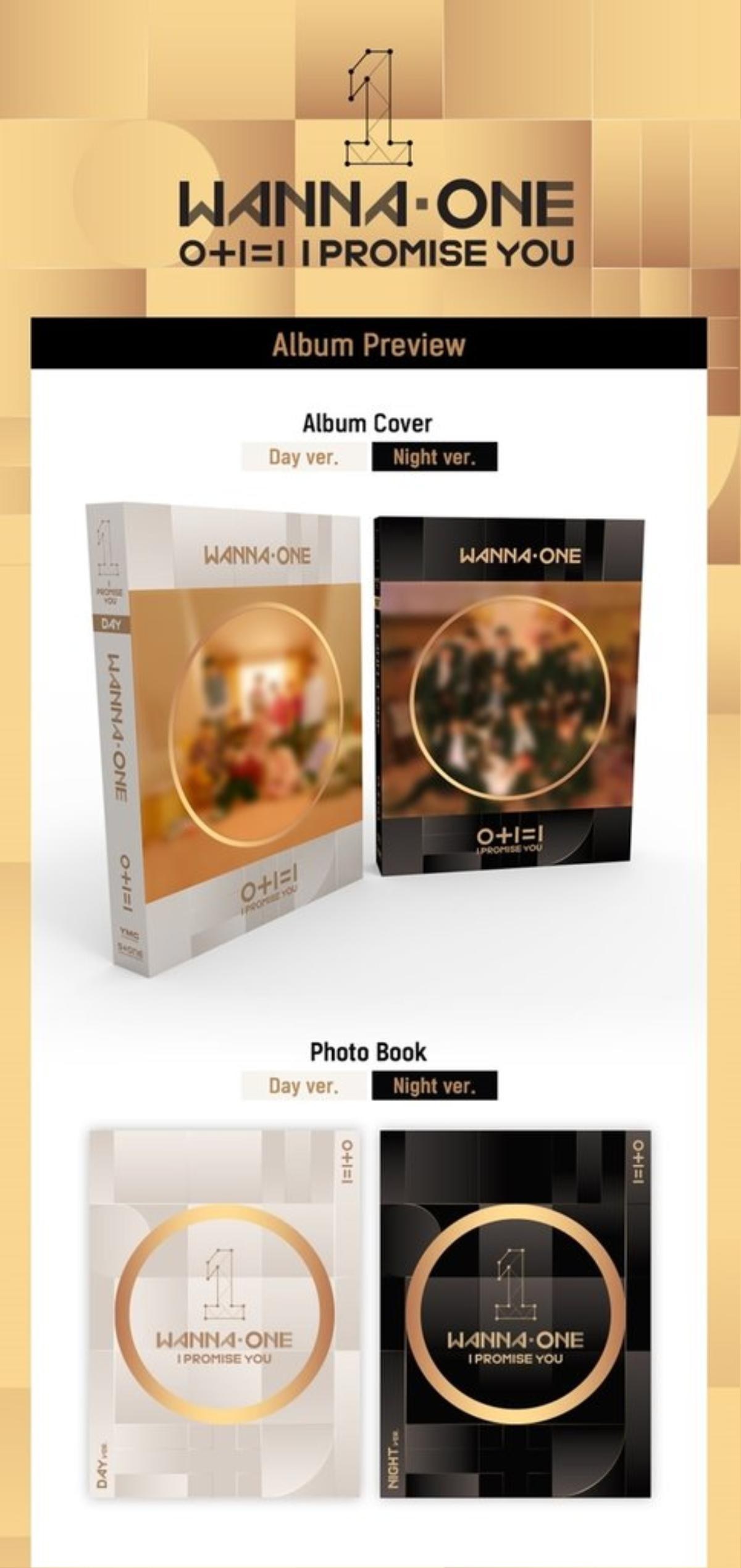 Đắng: Fan bỏ gần 90 triệu VNĐ mua 213 album vẫn không thể gặp Wanna One Ảnh 3