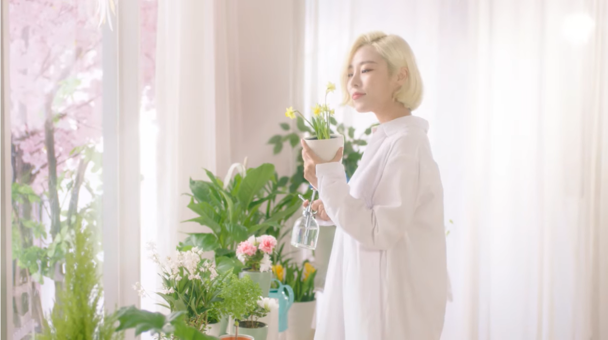 Hậu đại thắng với 8 chiếc cúp, Mamamoo 'bánh bèo hết cỡ' trong MV tặng fan Ảnh 9