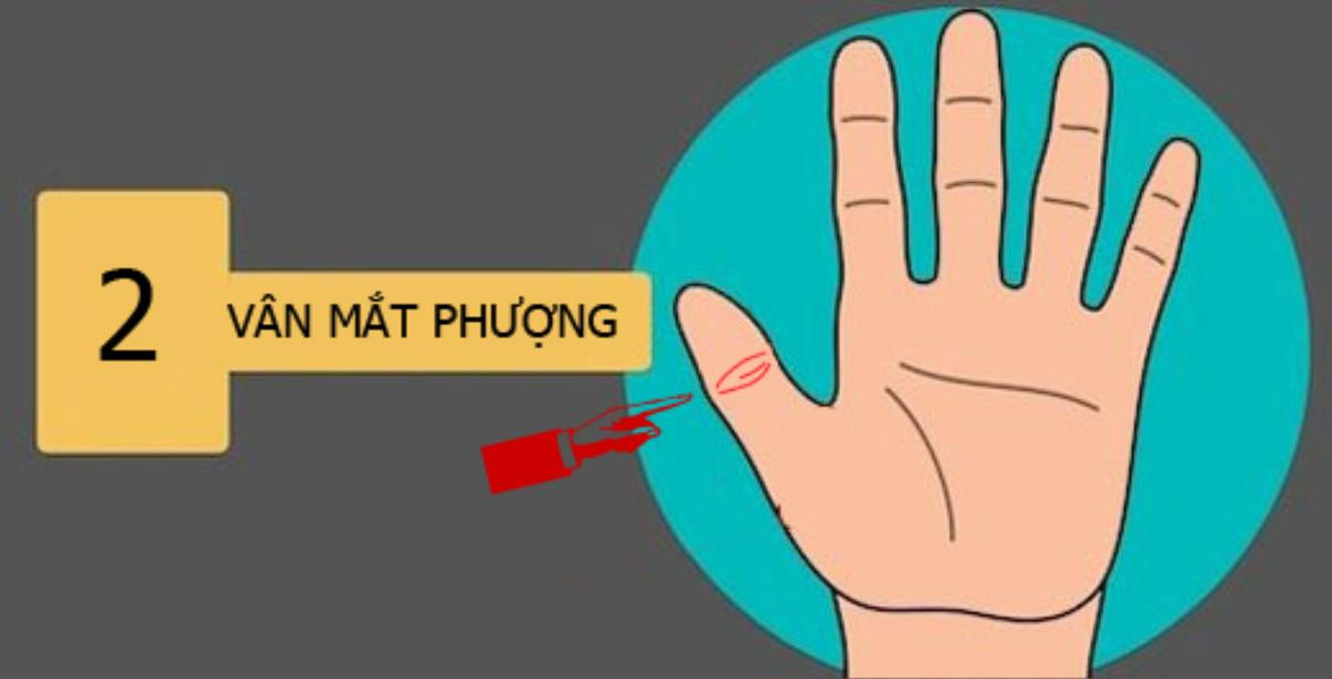 Bàn tay có những điểm này không phú cũng quý, số hưởng cả đời Ảnh 2