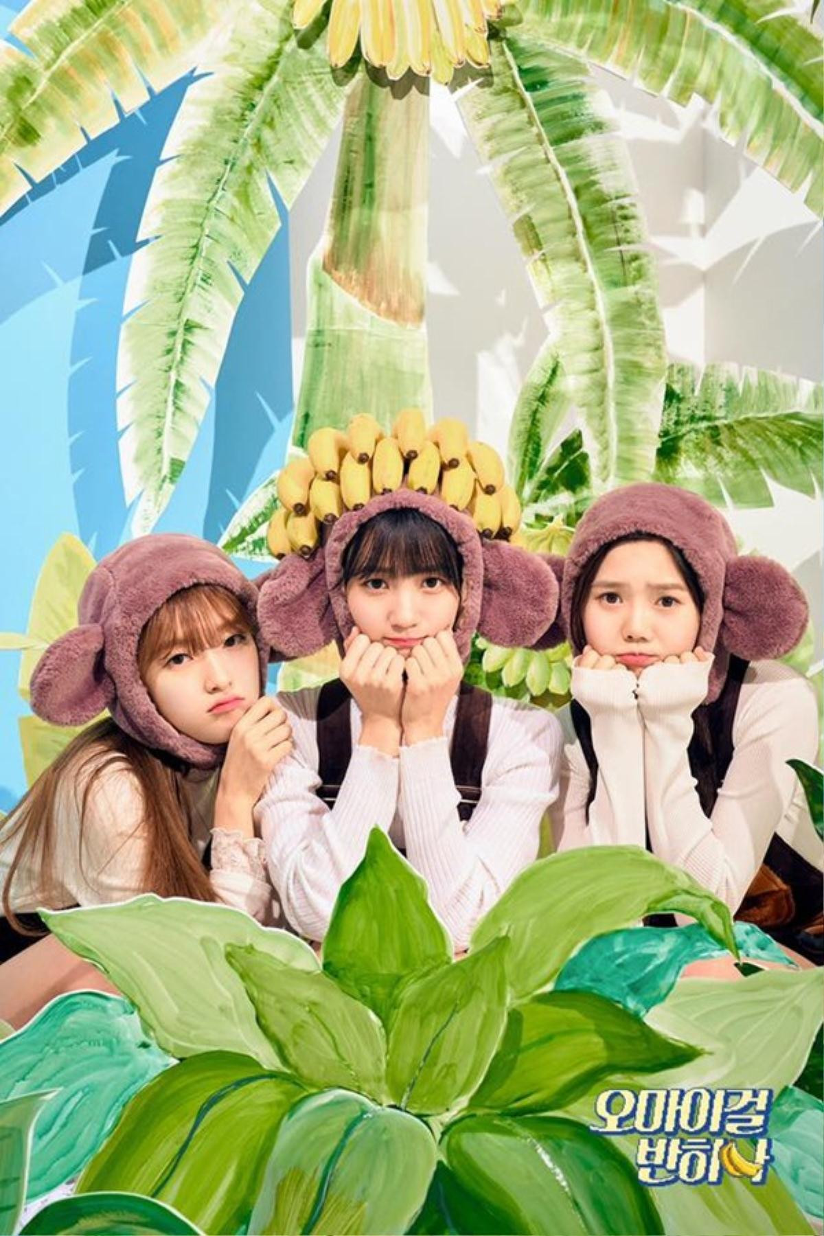 Hứa hẹn đột phá với concept mới, cuối cùng Oh My Girl lại bị fan 'dập tơi tả' Ảnh 1