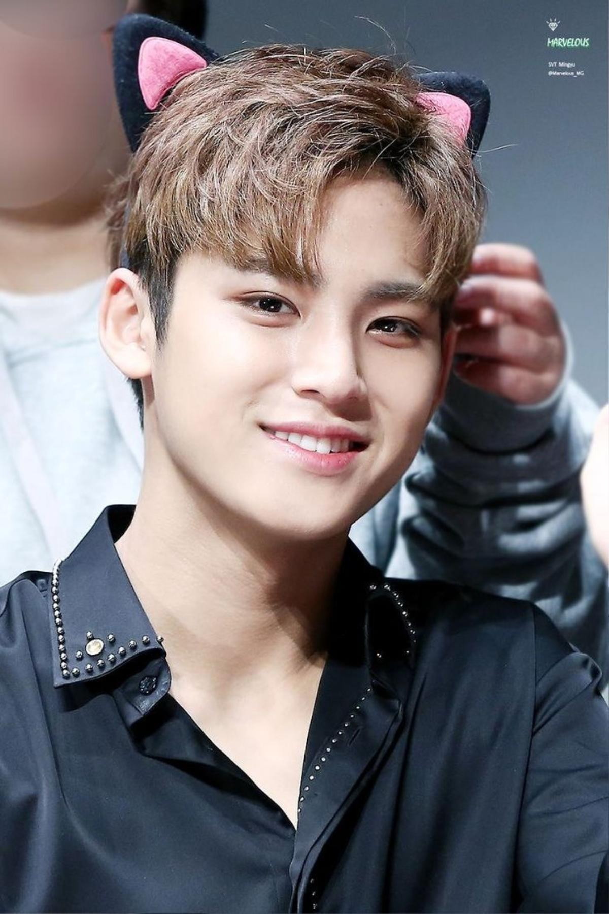 Kim MinGyu (SEVENTEEN): 'Anh chồng quốc dân' của mọi nhà đây rồi Ảnh 12