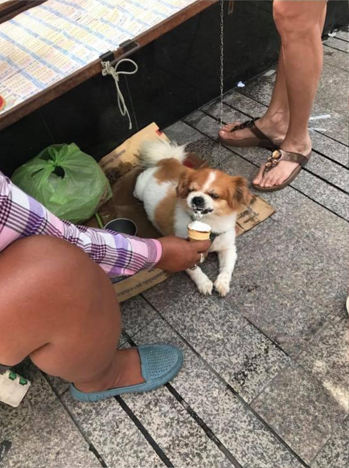 Clip này chỉ dài vài giây nhưng cũng đủ chứng minh truyền thuyết 'sướng như chó' là có thật Ảnh 2