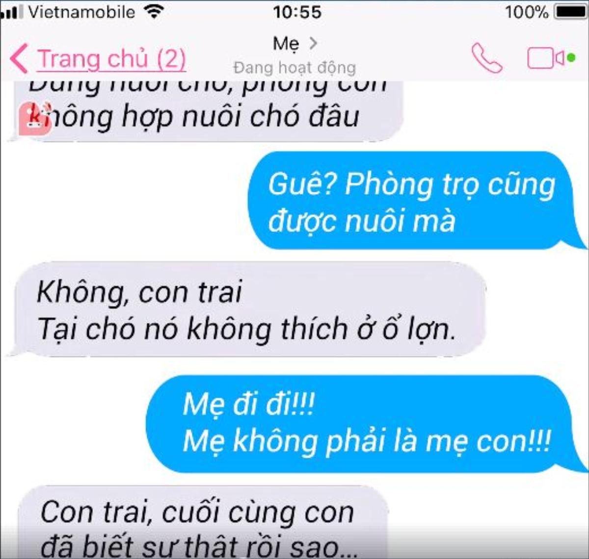 Loạt tin nhắn chứng minh chân lý trên đời này không ai 'lầy' và 'phũ' bằng các bậc phụ huynh Ảnh 3