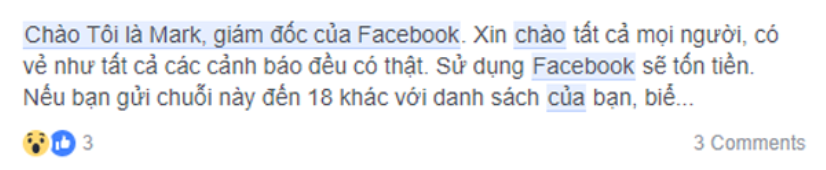 Thực hư tin đồn Facebook đóng tài khoản và thu phí người dùng Việt Nam Ảnh 2