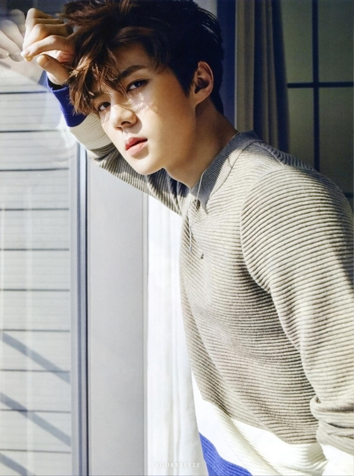 Fan chi tiền tỷ để Sehun (EXO) chiếm trọn 1 trang The New York Times mừng sinh nhật Ảnh 13