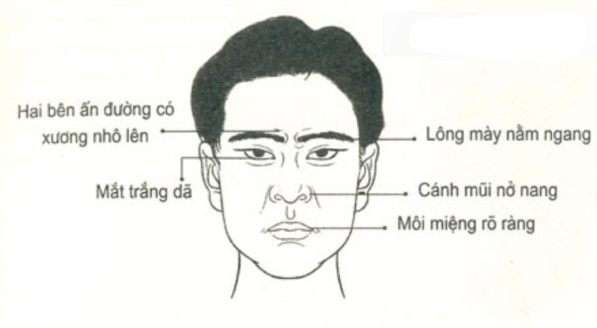 Nhân tướng học: Tướng mạo đàn ông giàu sang, có phúc, phụ nữ lấy được 'sướng một đời' Ảnh 3