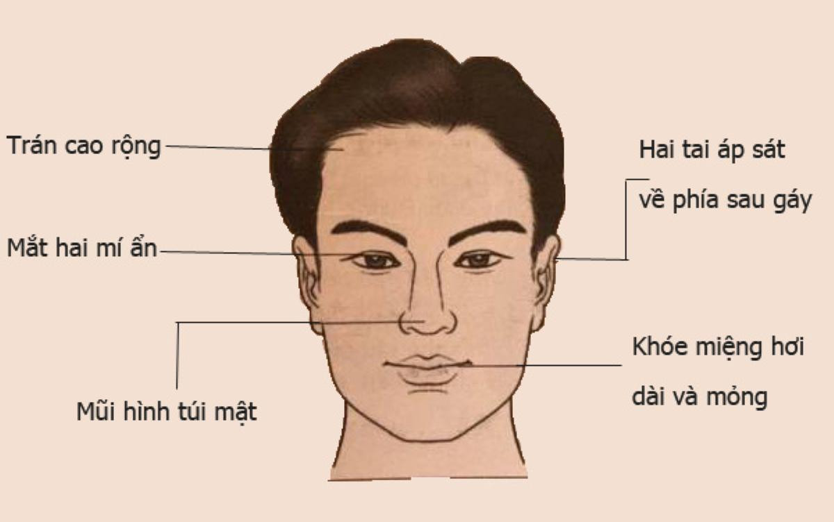 Nhân tướng học: Tướng mạo đàn ông giàu sang, có phúc, phụ nữ lấy được 'sướng một đời' Ảnh 4