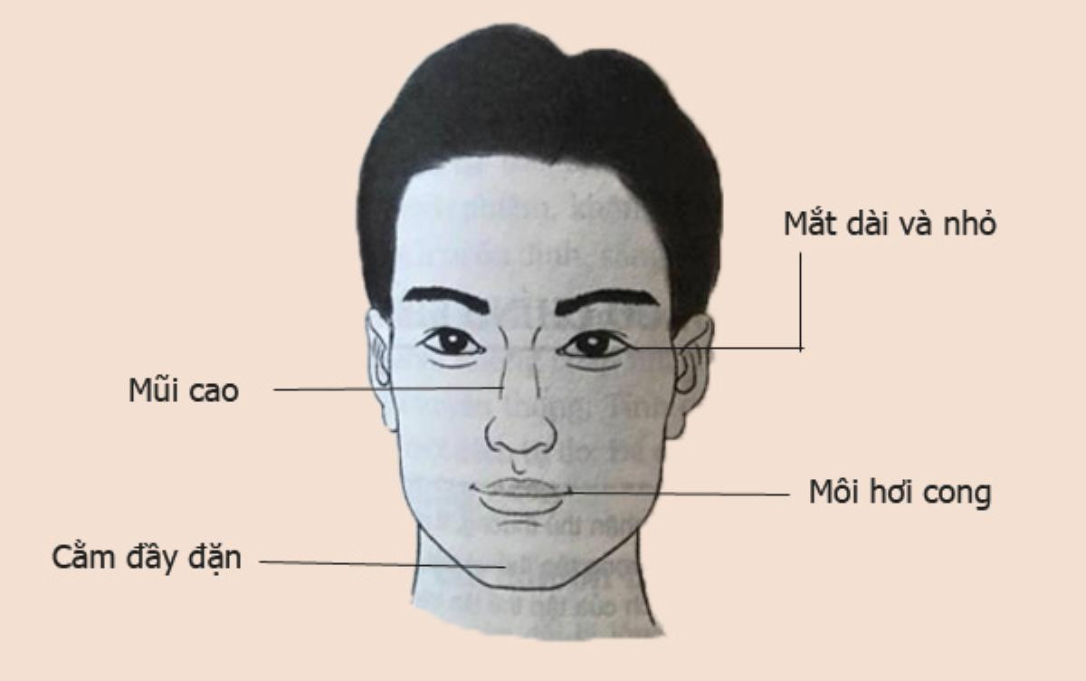 Nhân tướng học: Tướng mạo đàn ông giàu sang, có phúc, phụ nữ lấy được 'sướng một đời' Ảnh 5