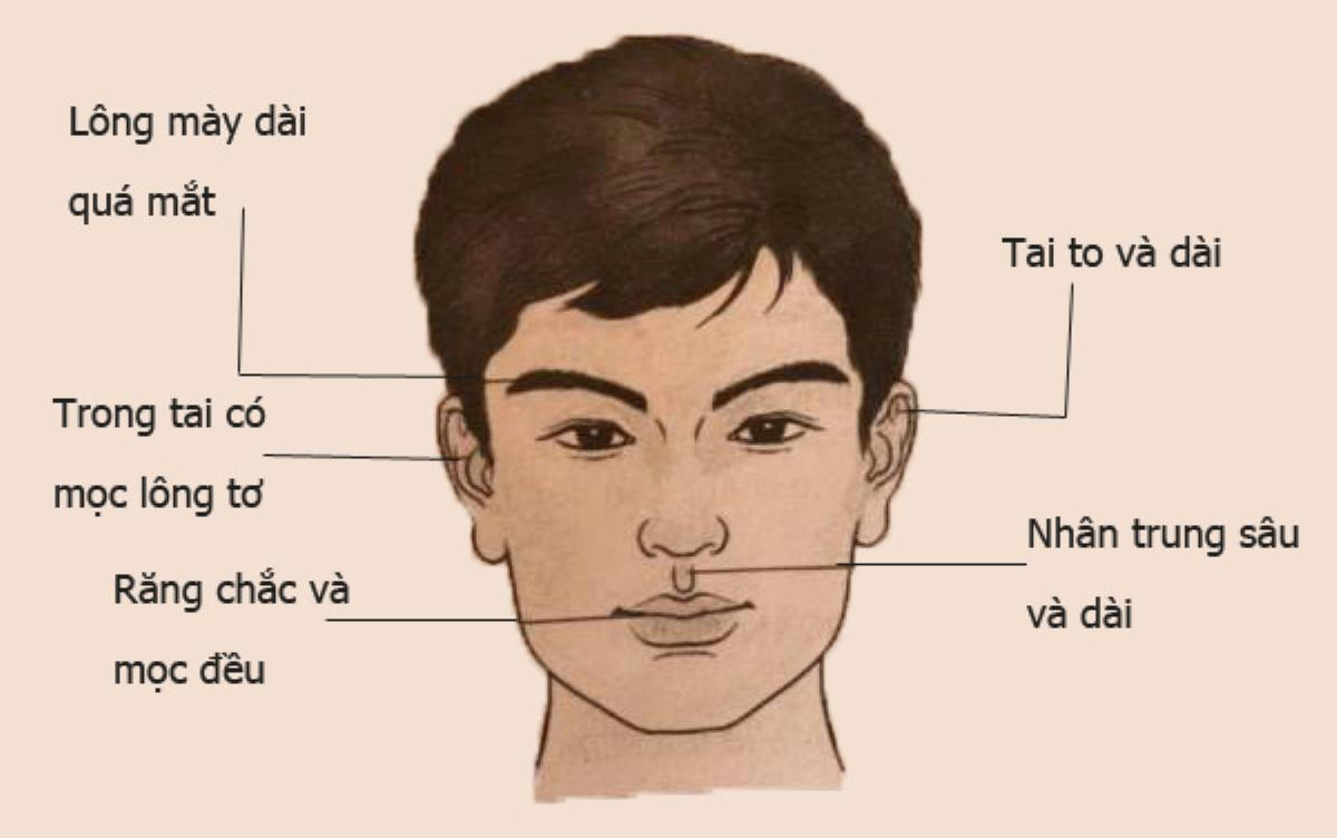 Nhân tướng học: Tướng mạo đàn ông giàu sang, có phúc, phụ nữ lấy được 'sướng một đời' Ảnh 7