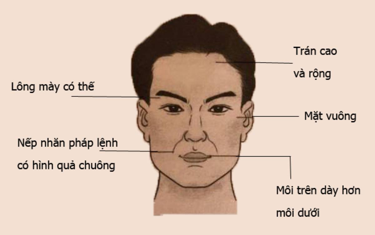 Nhân tướng học: Tướng mạo đàn ông giàu sang, có phúc, phụ nữ lấy được 'sướng một đời' Ảnh 9