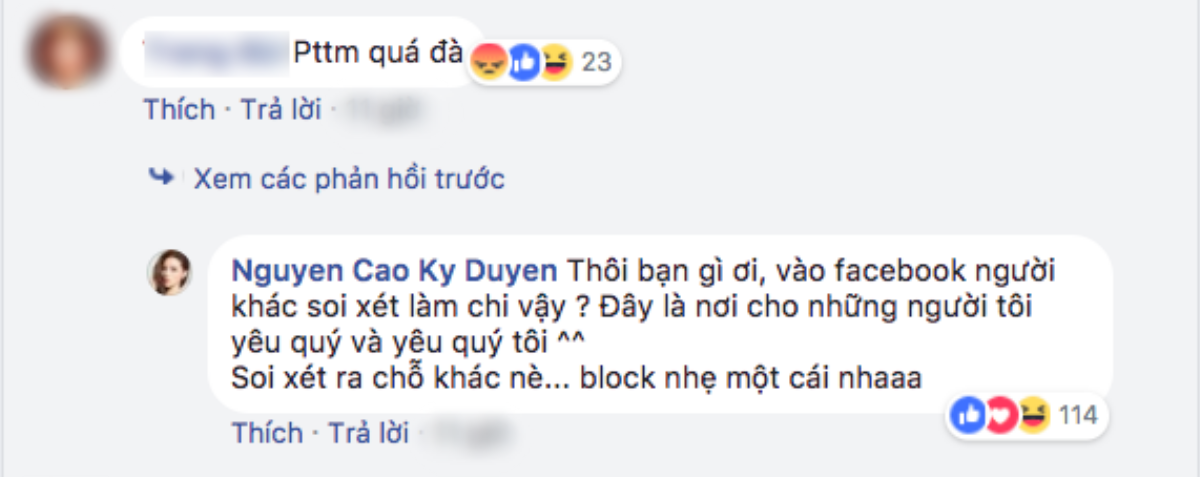 Kỳ Duyên thẳng thừng 'block' khi bị antifan nhận xét 'dao kéo' quá đà Ảnh 2