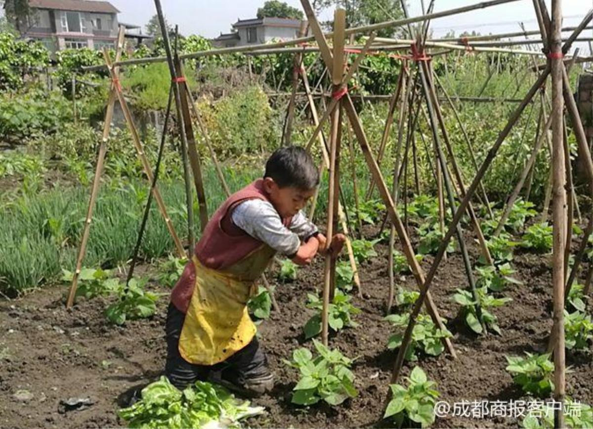 Câu chuyện cảm động về người phụ nữ cụt cả tay chân một mình chăm sóc mẹ già 100 tuổi Ảnh 1