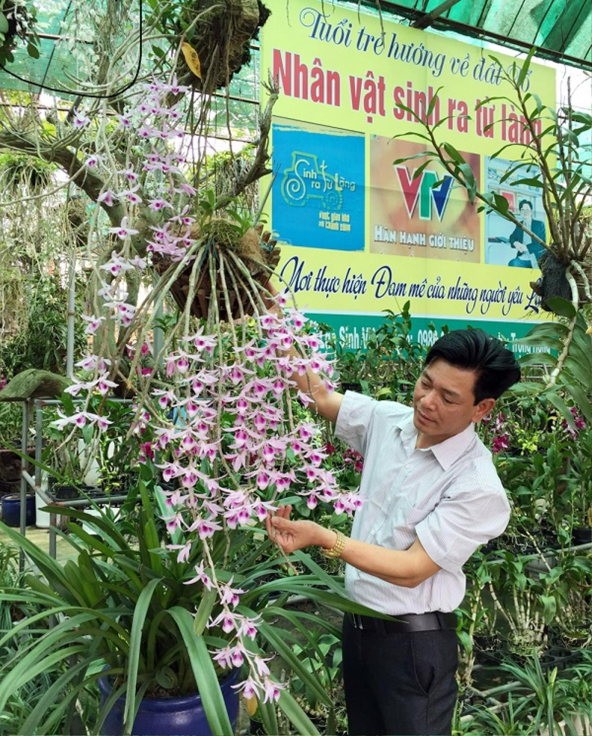 Trùng hợp ngẫu nhiên, vườn lan đua nở trong khu di tích Đền Hùng Ảnh 7