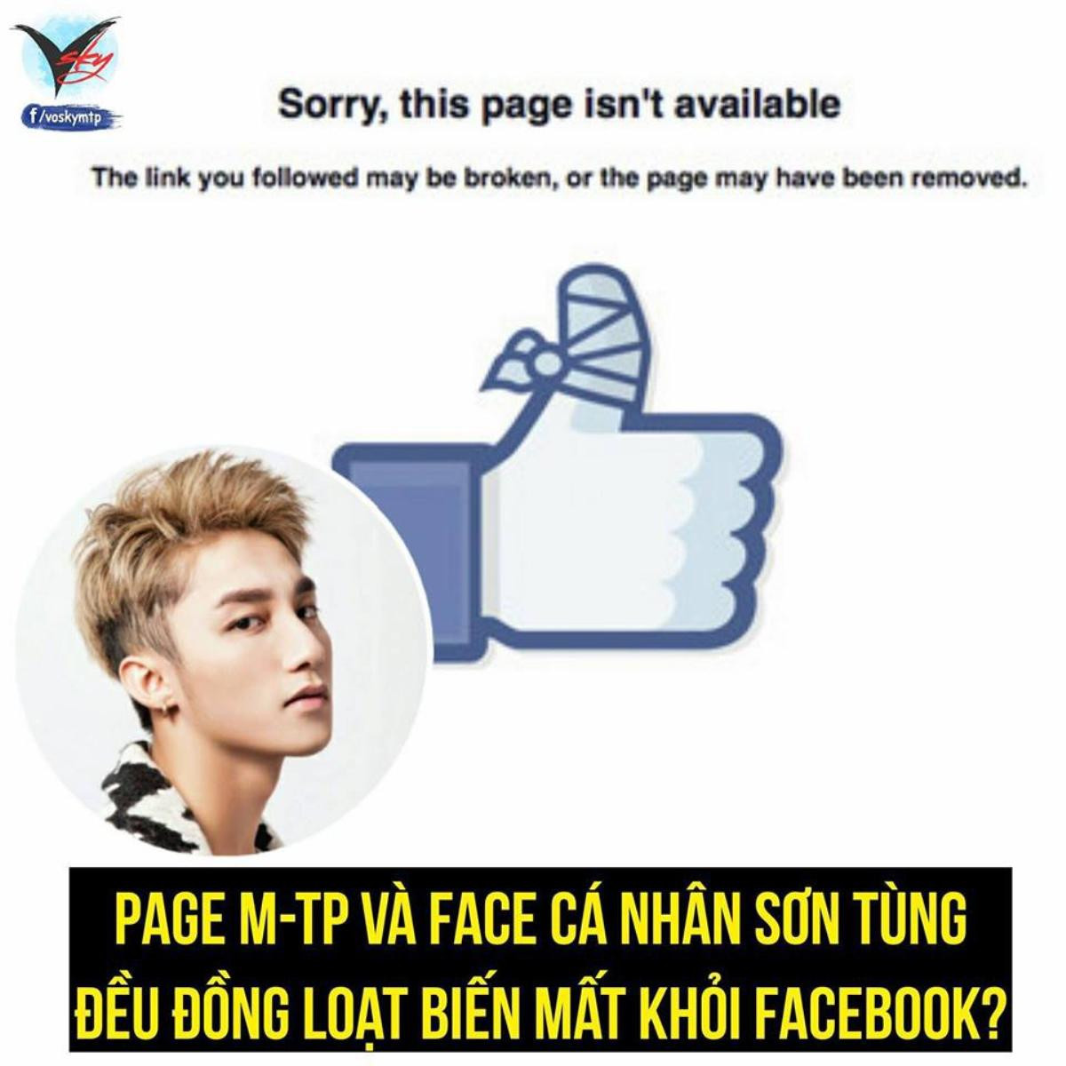 Không chỉ Facebook, fanpage 10 triệu lượt like của Sơn Tùng M-TP vừa 'bốc hơi' Ảnh 1