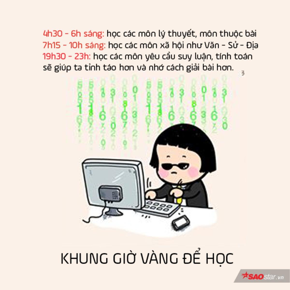 Học thi không khó, chỉ là bạn chưa nắm được đúng bí kíp học mà thôi Ảnh 2