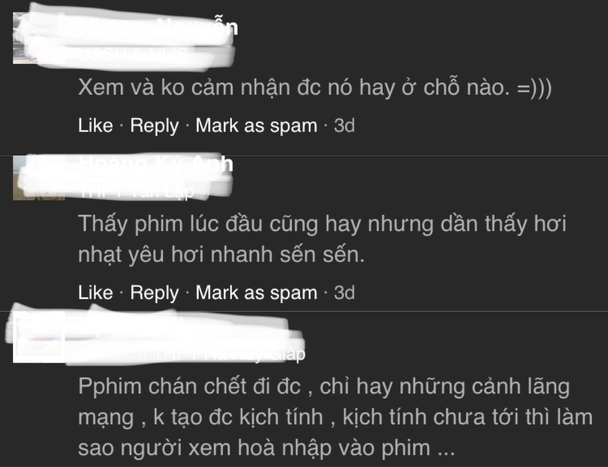 Nguyên do khiến khán giả Việt Nam dần chán phim ‘Chị đẹp mua cơm ngon cho tôi’? Ảnh 7