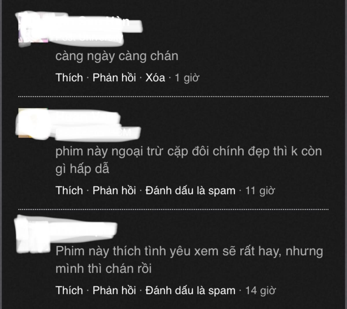 Nguyên do khiến khán giả Việt Nam dần chán phim ‘Chị đẹp mua cơm ngon cho tôi’? Ảnh 6