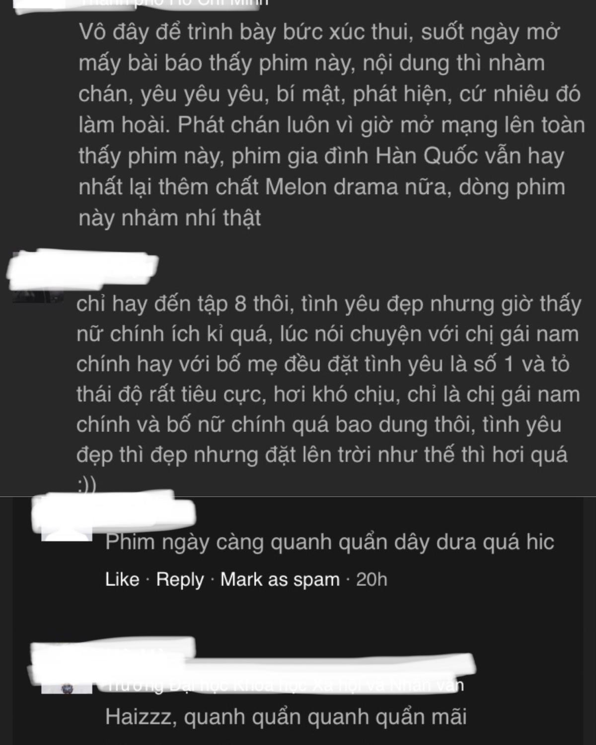 Nguyên do khiến khán giả Việt Nam dần chán phim ‘Chị đẹp mua cơm ngon cho tôi’? Ảnh 11