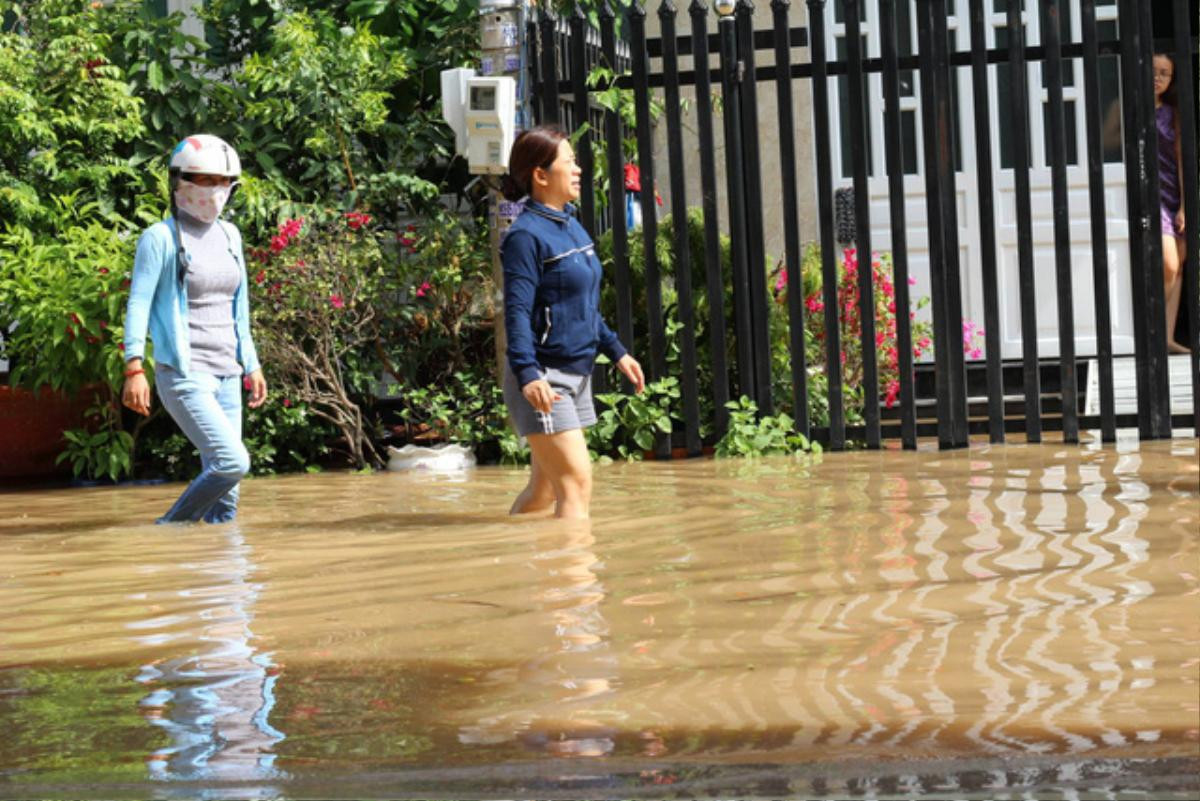 Hàng trăm hộ dân chịu cảnh ngập ngang gối cả ngày chỉ sau trận mưa đêm Ảnh 2