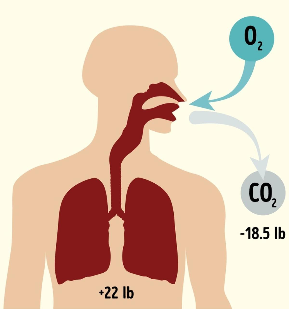 10 sự thật thú vị có thể khiến nhiều người 'há hốc miệng' Ảnh 6